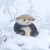 536吴师傅